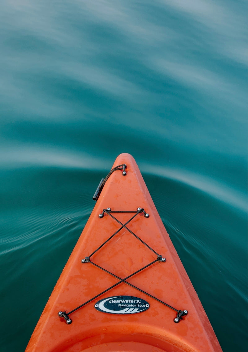 brown boat on green water