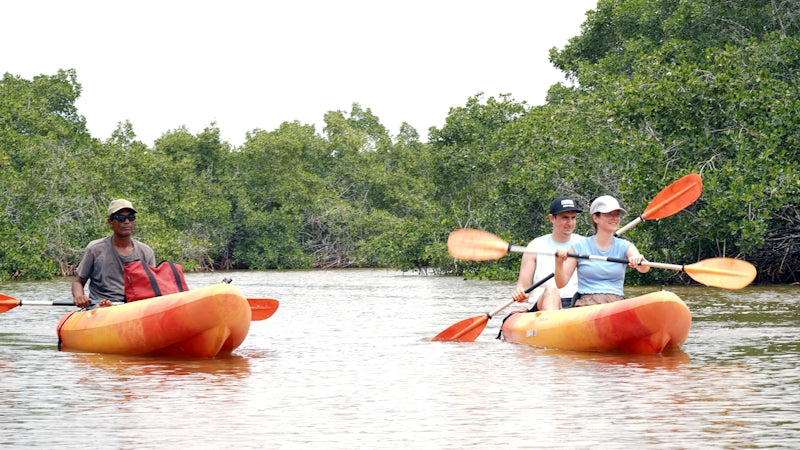 People are kayaking on a scenic waterway.